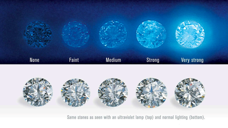 Fluorescence scale: None, Faint, Medium, Strong, Very strong