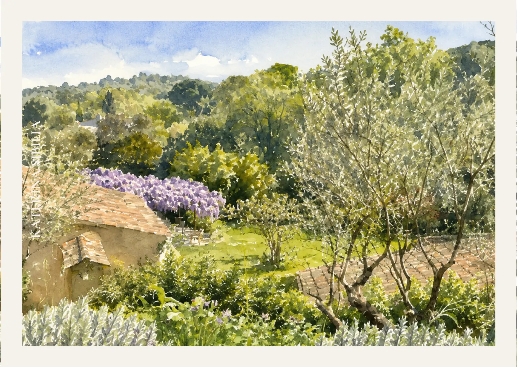 The wisteria above the restanque